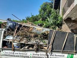 Shed Removal in Alexandria, KY