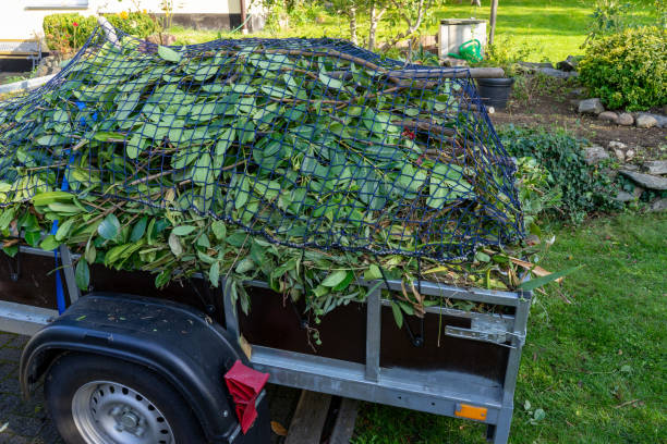 Best Hoarding Cleanup  in Alexandria, KY